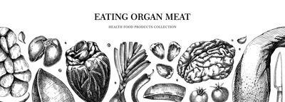 Organ meat banner. Liver, heart, kindle, tongue, offal design. Internal organs, ingredients, meat product, healthy food sketch. Engraved vector food illustration isolated on white background
